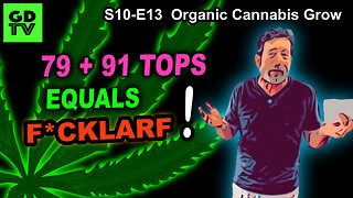 S10 E13 – Week 6 of Flower – BUD COUNT! - Shiskaberry, Chemy Lemmy, Afghan Kosher