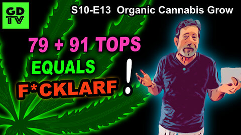 S10 E13 – Week 6 of Flower – BUD COUNT! - Shiskaberry, Chemy Lemmy, Afghan Kosher