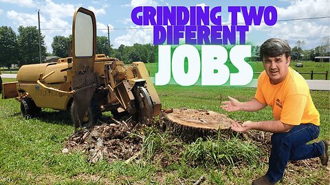 Madison Pondside Stump Grinding | Customer Says Tree Was HUGE!