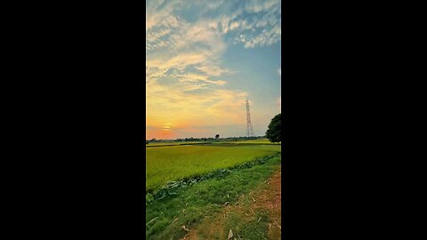 Islamic Content Part-5