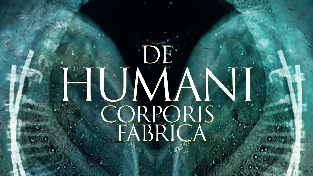 The Fabric Of The Human Body (2022) documentary