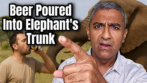 Spanish Tourist Sparks Outrage After Pouring Beer Into Elephant’s Trunk During Kenyan Safari