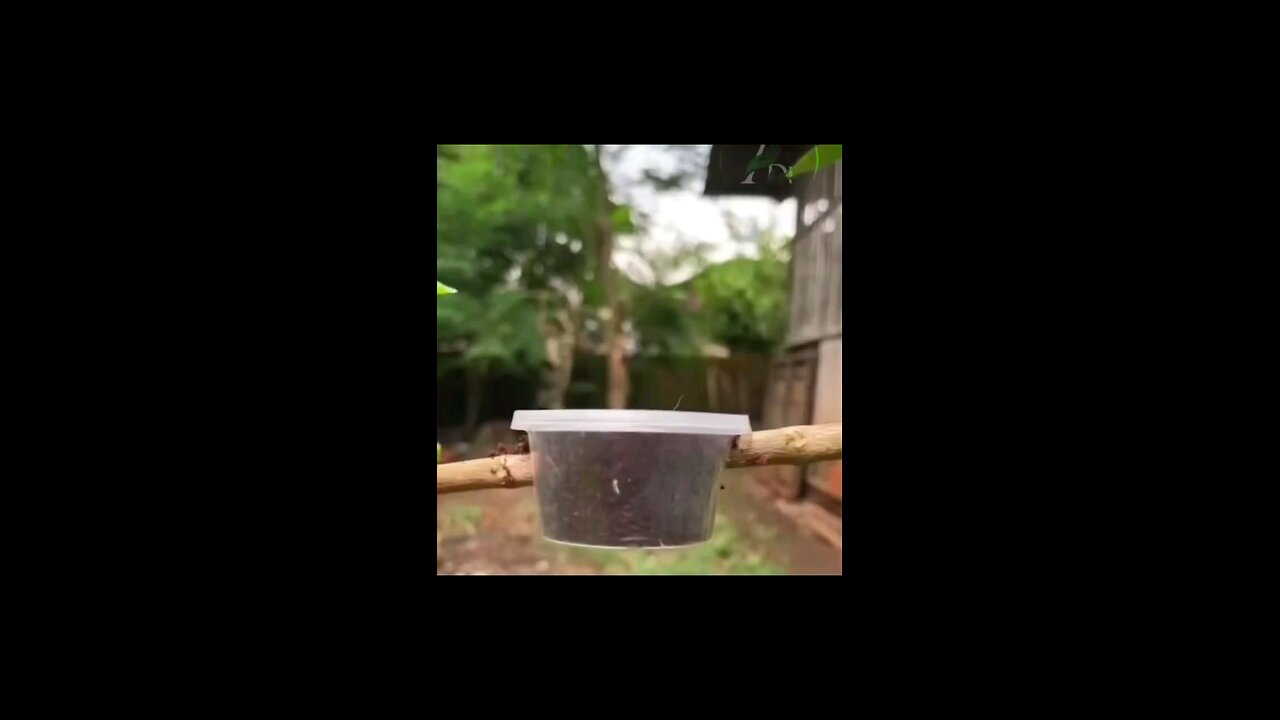 vkbkbkbi