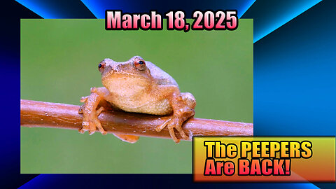 The Return Of The "Peepers"