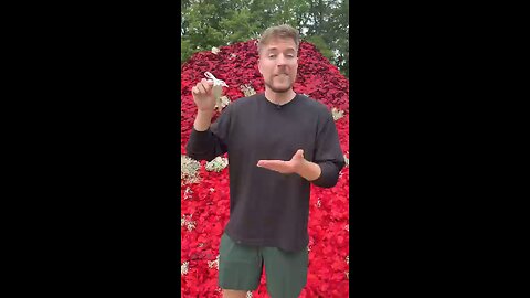 Mr beast mother's day special chalenge
