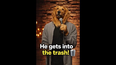 This Dog’s Excuse for the Trash Is HILARIOUS
