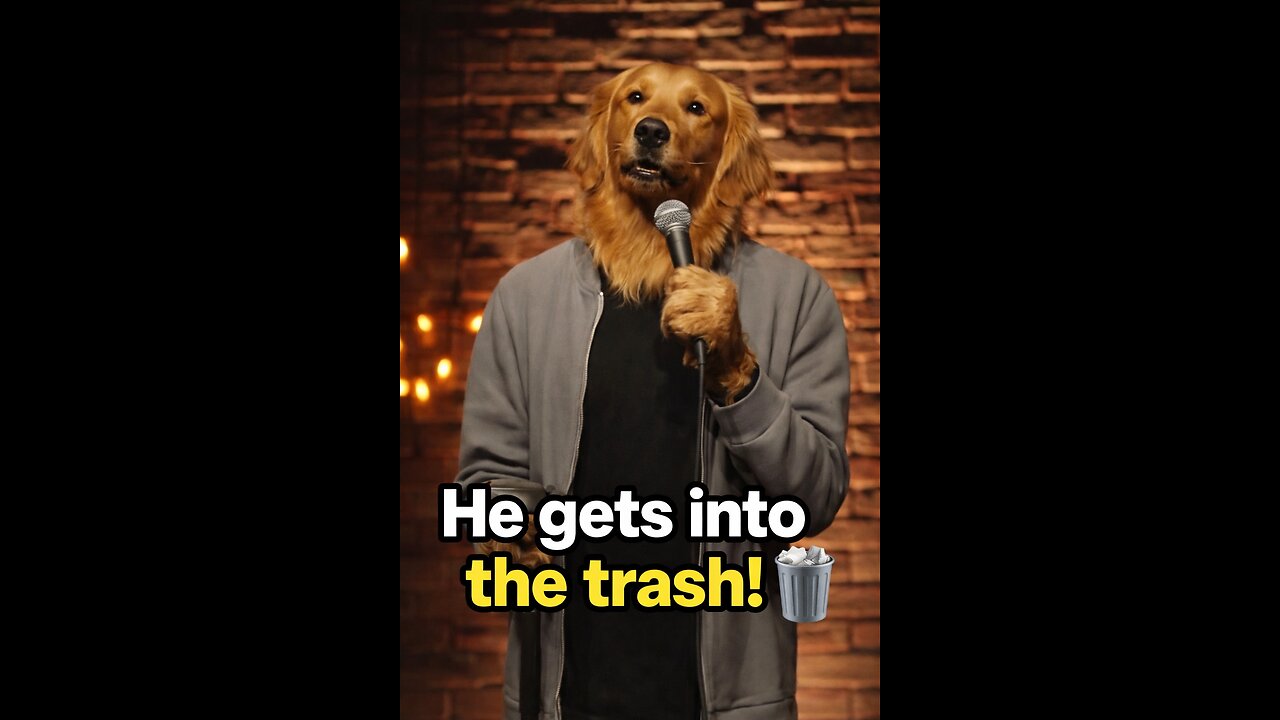This Dog’s Excuse for the Trash Is HILARIOUS
