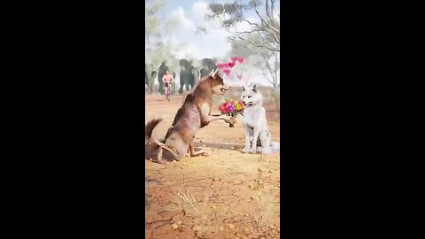 baby wolf gift girfriends#fyp #next #new