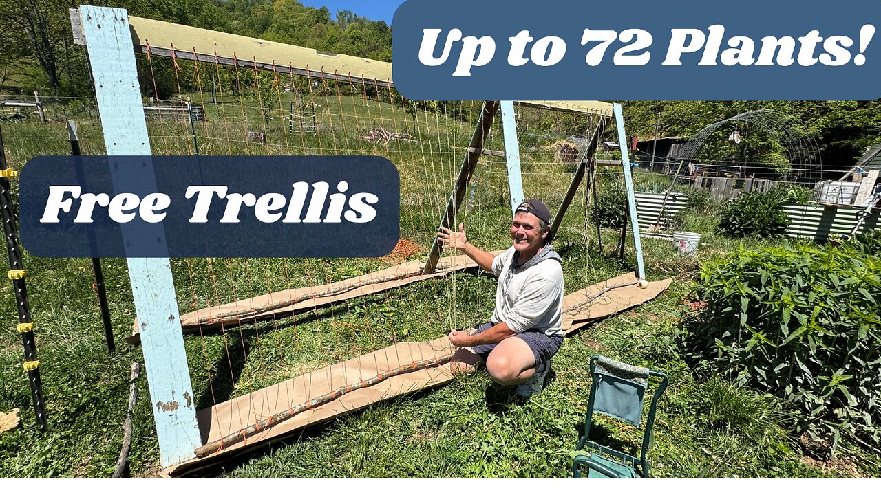 Upcycling Hay Twine: The Easiest Free Vertical Garden Hack