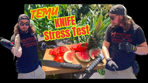 Are these TEMU knives worth it?! KNife stress test: TEMU TUESDAYS!