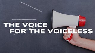 Being the Voice for the Voiceless