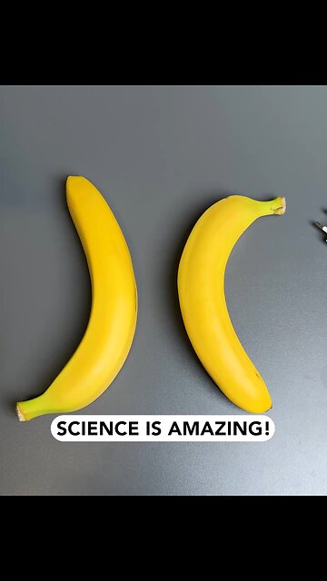 charge phone with banana