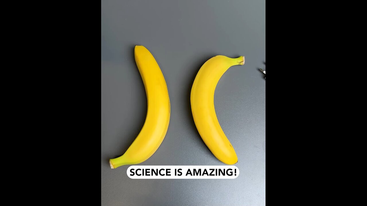 charge phone with banana
