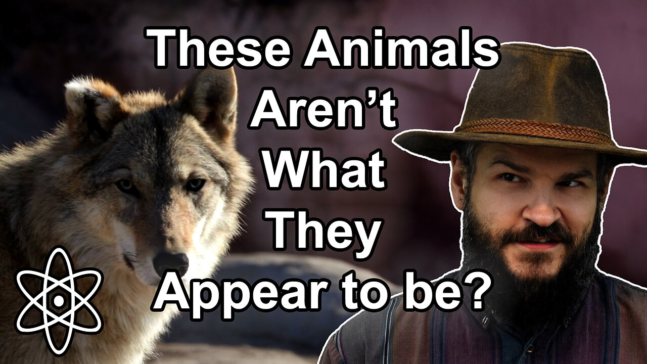 Speciation Not Caused By Evolution? |⚛
