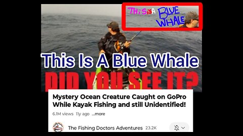 This Is A Blue Whale