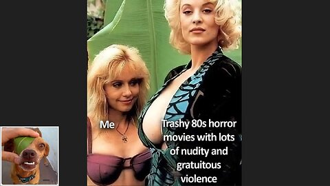 Memes That Will 99.0245% Make You Laugh. (e469)