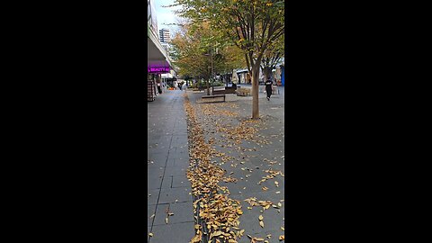 winter in Wollongong