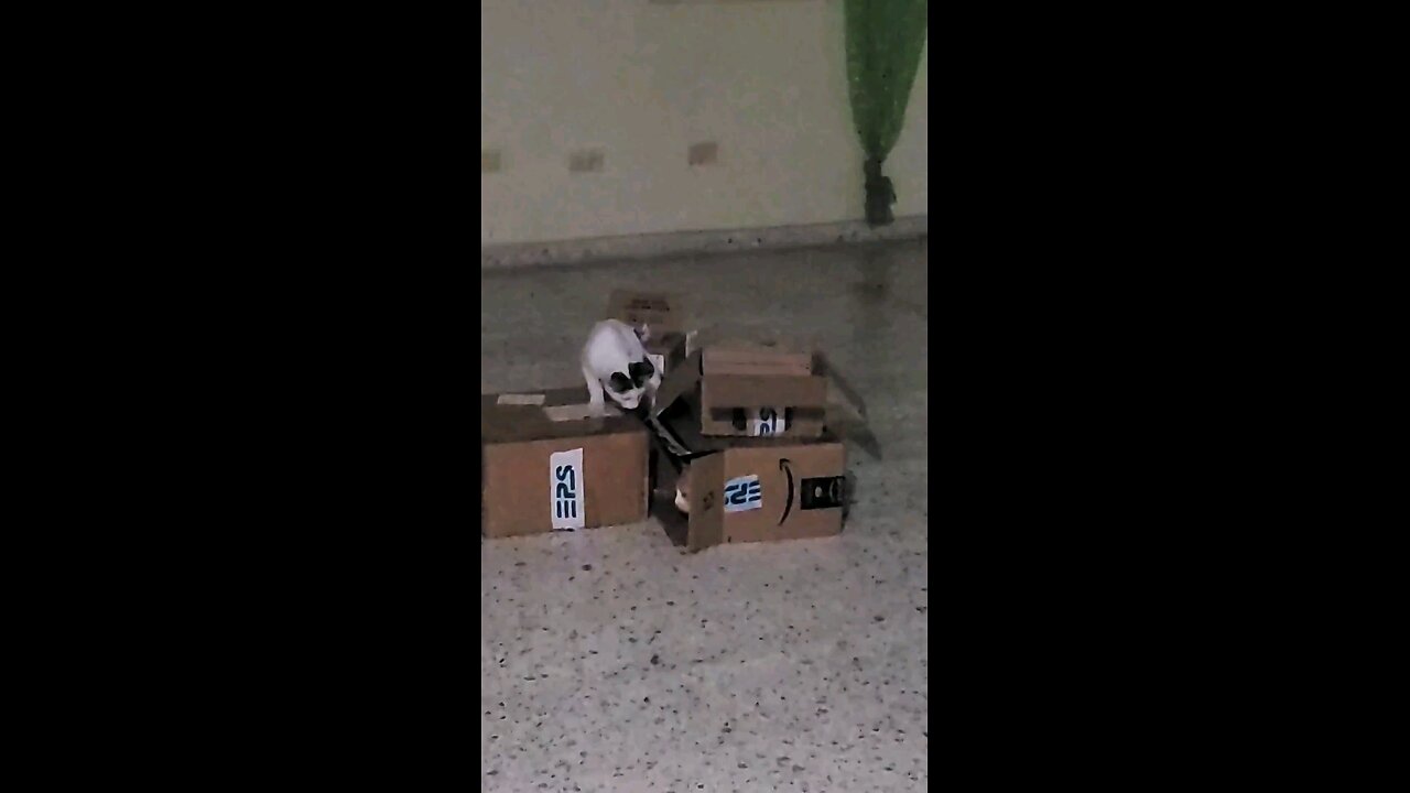 Boxed out