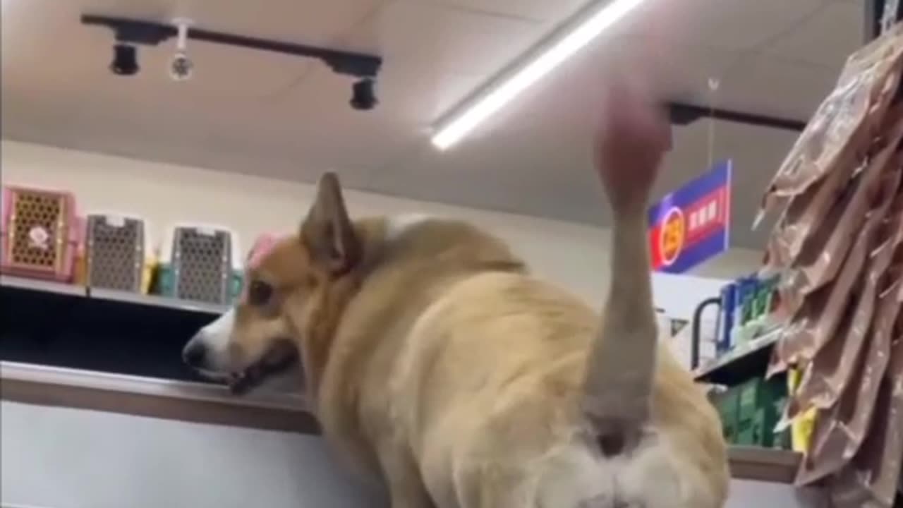 "OMG This is So Fun – Must Watch!"