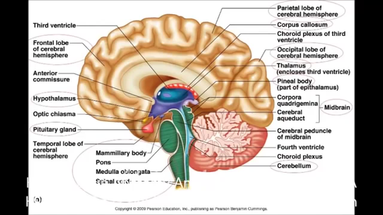 Raising the Chrism The Sacred Secret Of The Christ Within by Santos Bonacci