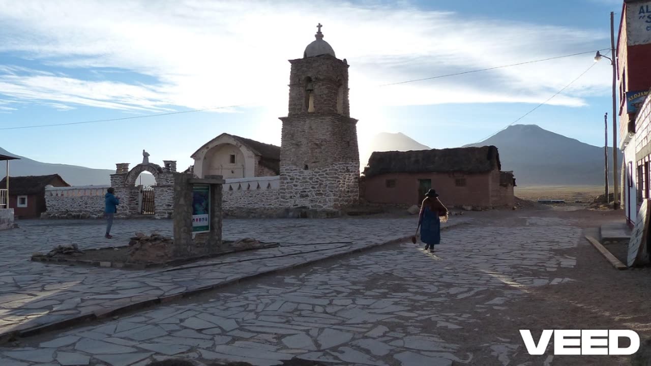 SENASAG proyecto