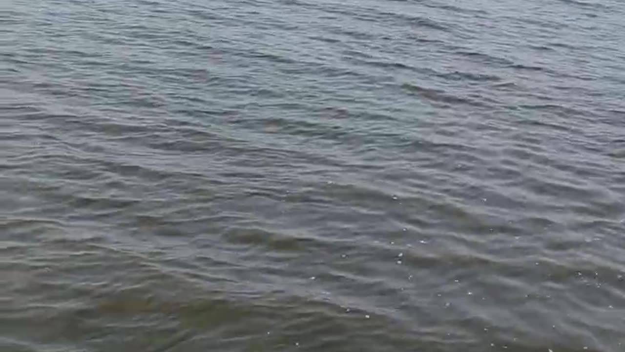 Mississippi Boat Train