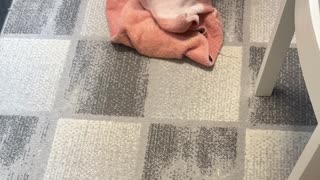😂💥 It Had One Job! | FunFM