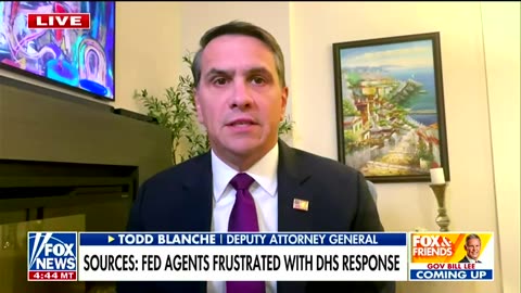 'Not fair': Fox News grills top DOJ official after DHS calls Alex Pretti a terrorist