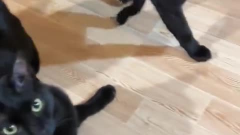 infinite yapping void