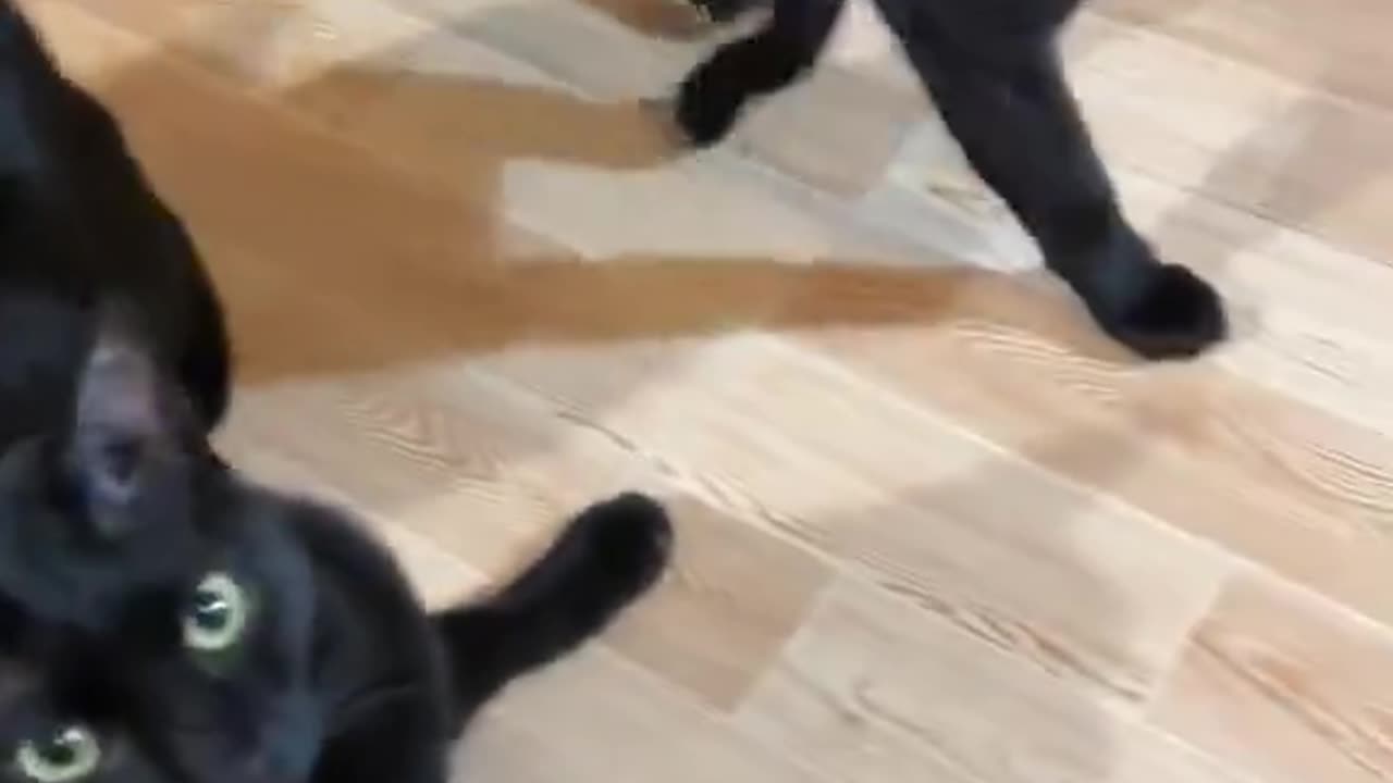 infinite yapping void