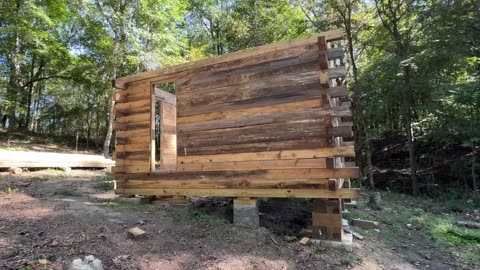 Cabin Beginnings