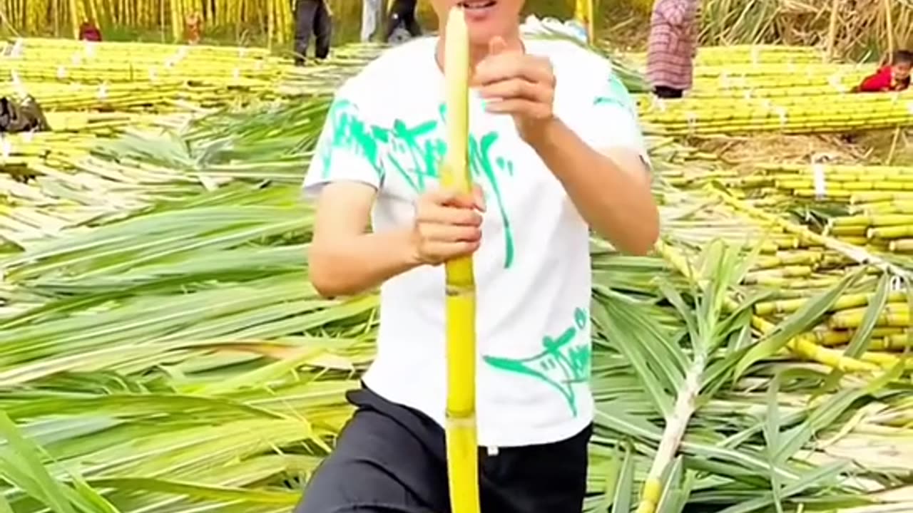 fu