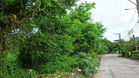 The Chill ARAYAT STREET