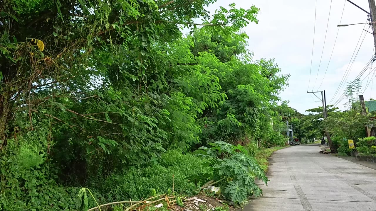The Chill ARAYAT STREET