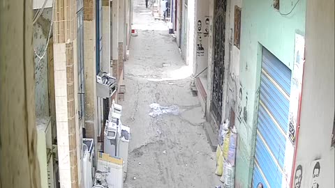 elsayed_Camera1_elsayed_20250202113054_20250202114048_207345913