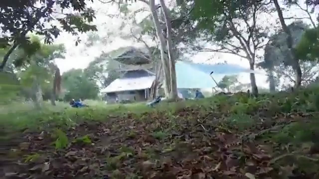 A powerful 7.7-magnitude earthquake in Indonesia was caught on camera...