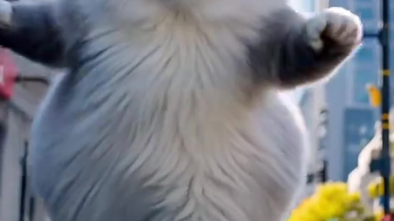 Meow Mood: Funny Cats Being Cute & Crazy! – 256