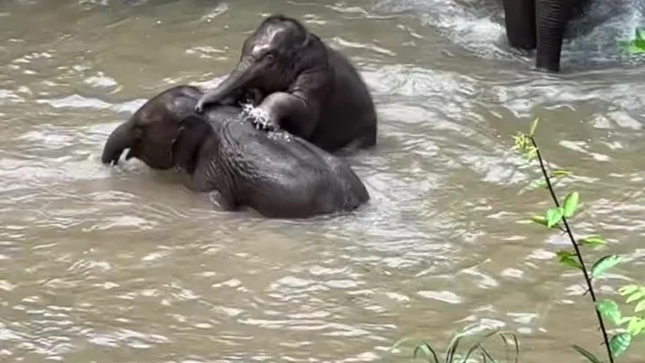 📹 Trending Chinese Viral Videos | Funny, Emotional & Shocking Moments