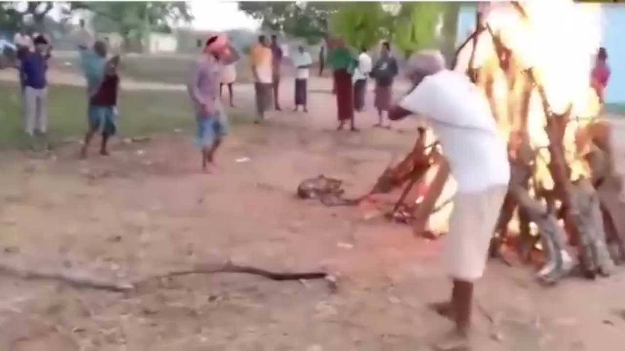 These savages live all around us now