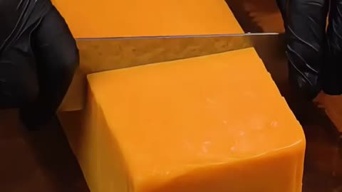 芝士脑袋一口沦陷！！！！芝士就是力量！！🧀