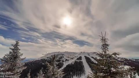 Your Daily Dose Of Internet / The Weirdest Orca Ever