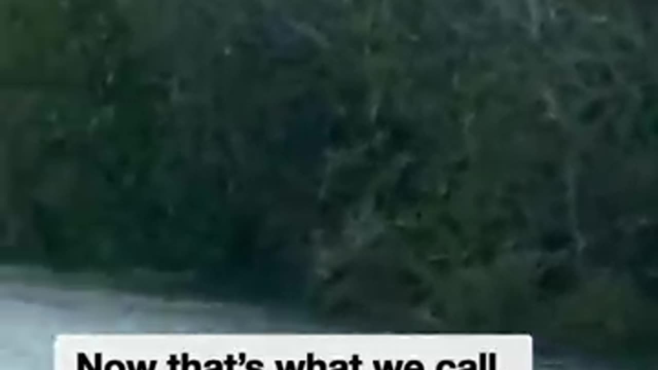 Aussie man feeds osprey with thrown catfish