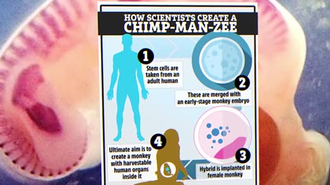 Scientists Admit Alex Jones Was Right: Human-Animal Hybrids Are Real!