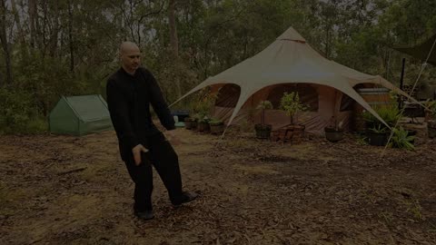 Tai chi in the forest