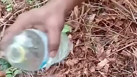 Fun funny videos