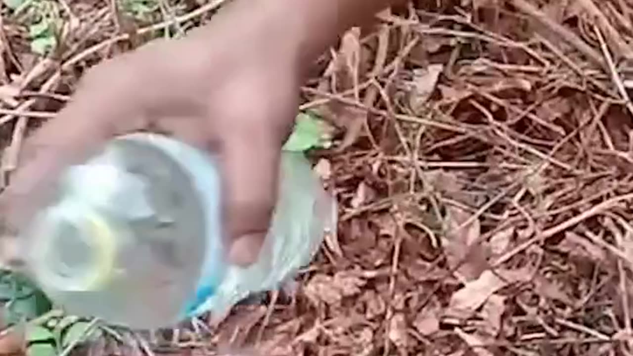 Fun funny videos