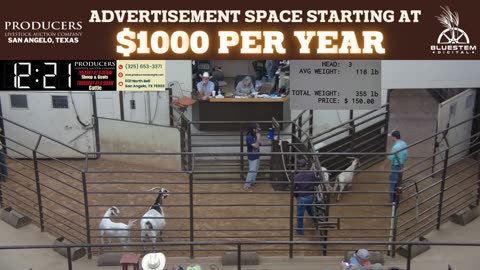 5/27/2025 - Sheep & Goat Auction - Producers Livestock Auction Company