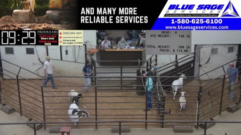 5/27/2025 - Sheep & Goat Auction - Producers Livestock Auction Company