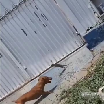 Size of your heart is what matters 💪