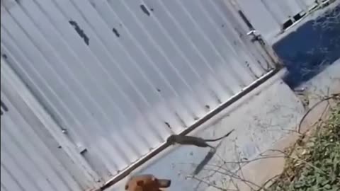 Size of your heart is what matters 💪